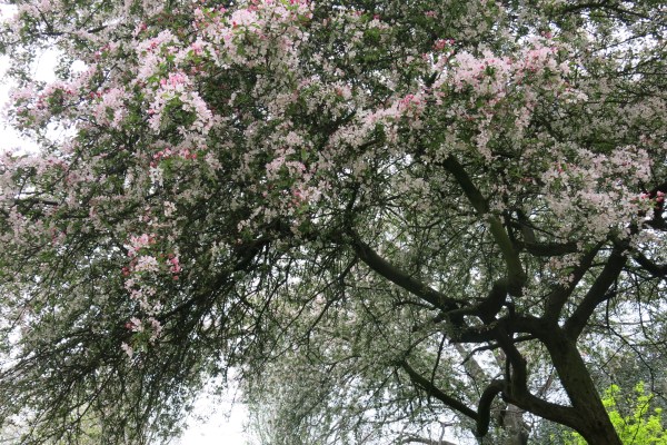 Last April, in the mind-bogglingly beautiful city of London