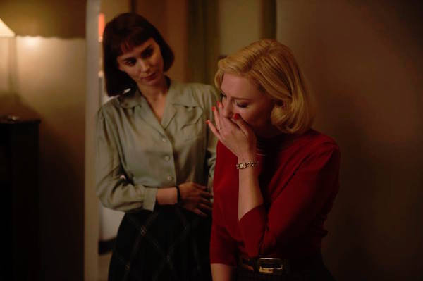 12049143_408969832640584_3430660531850839681_n