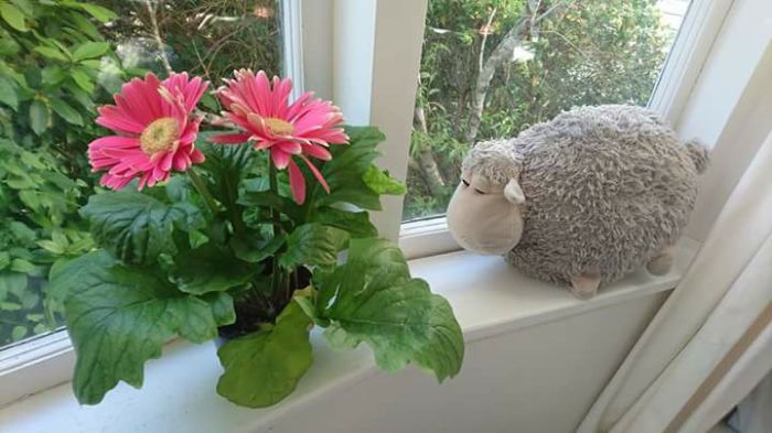 30743801_10213859448711809_2418791698386649088_n